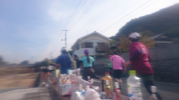 瀬戸内海タートル・フルマラソン（香川県、2015年）～厳しさと感動の島ラン