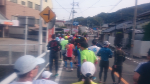 瀬戸内海タートル・フルマラソン（香川県、2015年）～厳しさと感動の島ラン