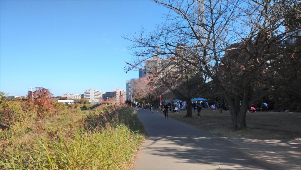 新横浜鶴見川マラソン～ハーフの部に参加（神奈川県、2020年11月）