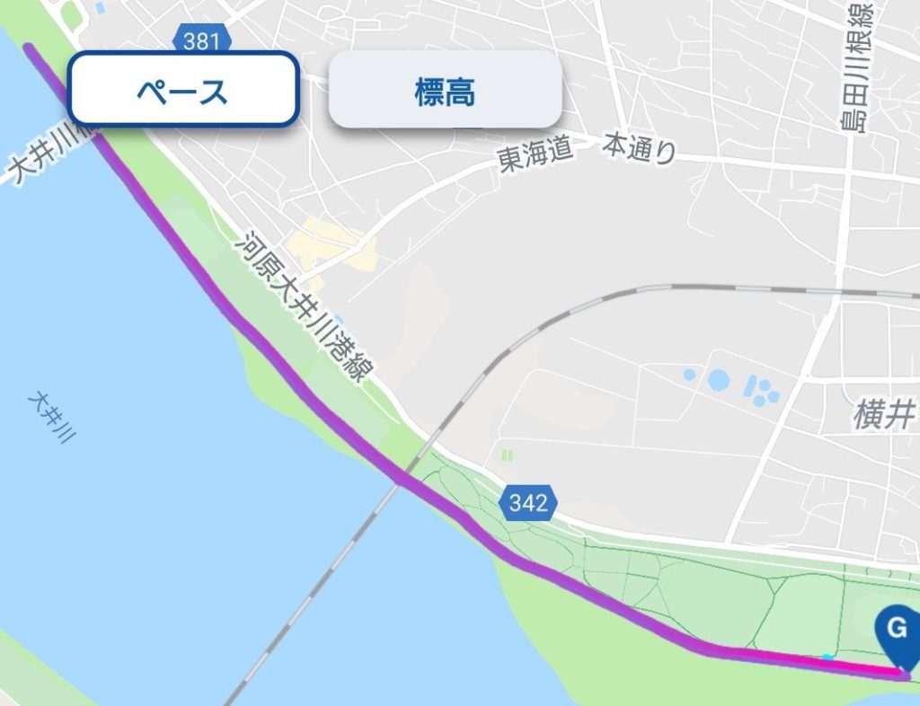 静岡・大井川トライアルマラソン（静岡県、2020年11月）