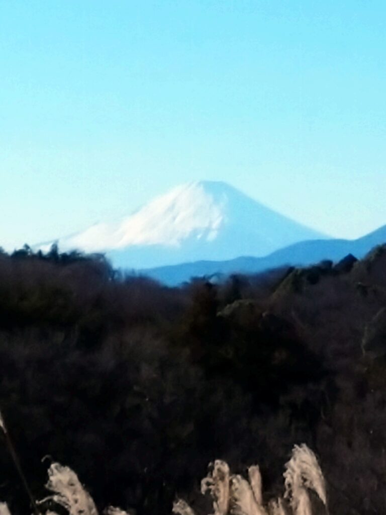 令和四年元日の富士山