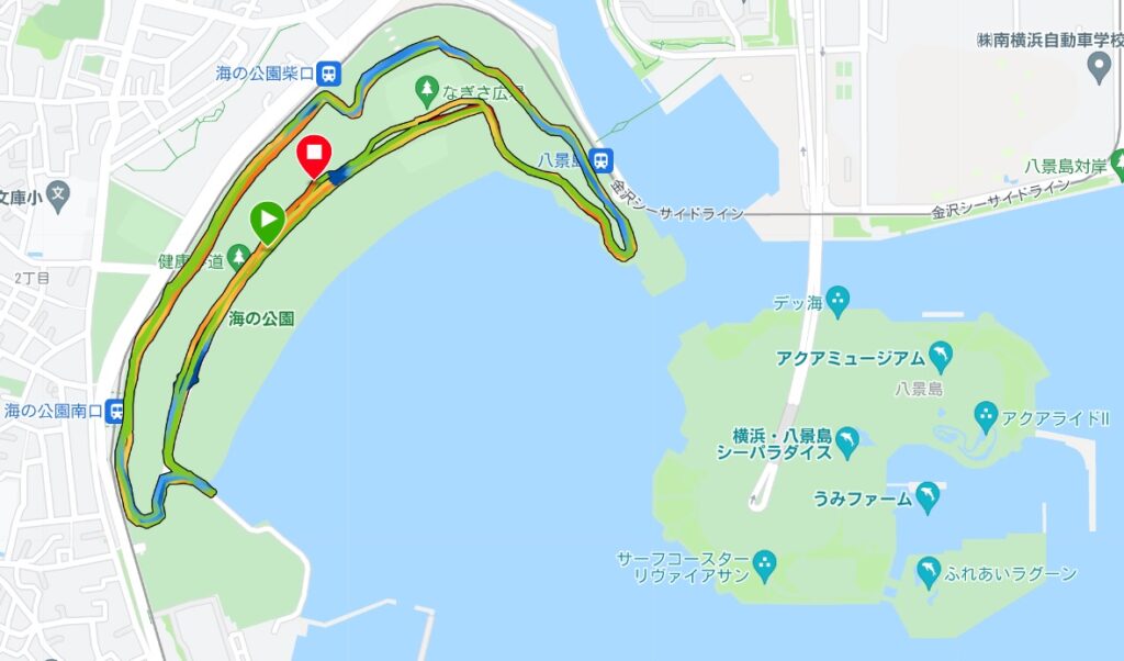 スポーツメイトラン海の公園マラソン（神奈川県、2022年1月）～ハーフの部に参加